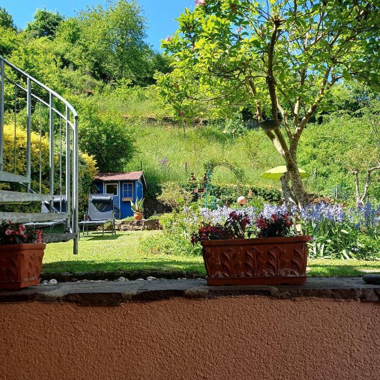 Ferienwohnung Haus Bleser Кохем Екстер'єр фото